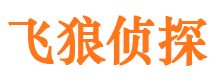 九原调查事务所